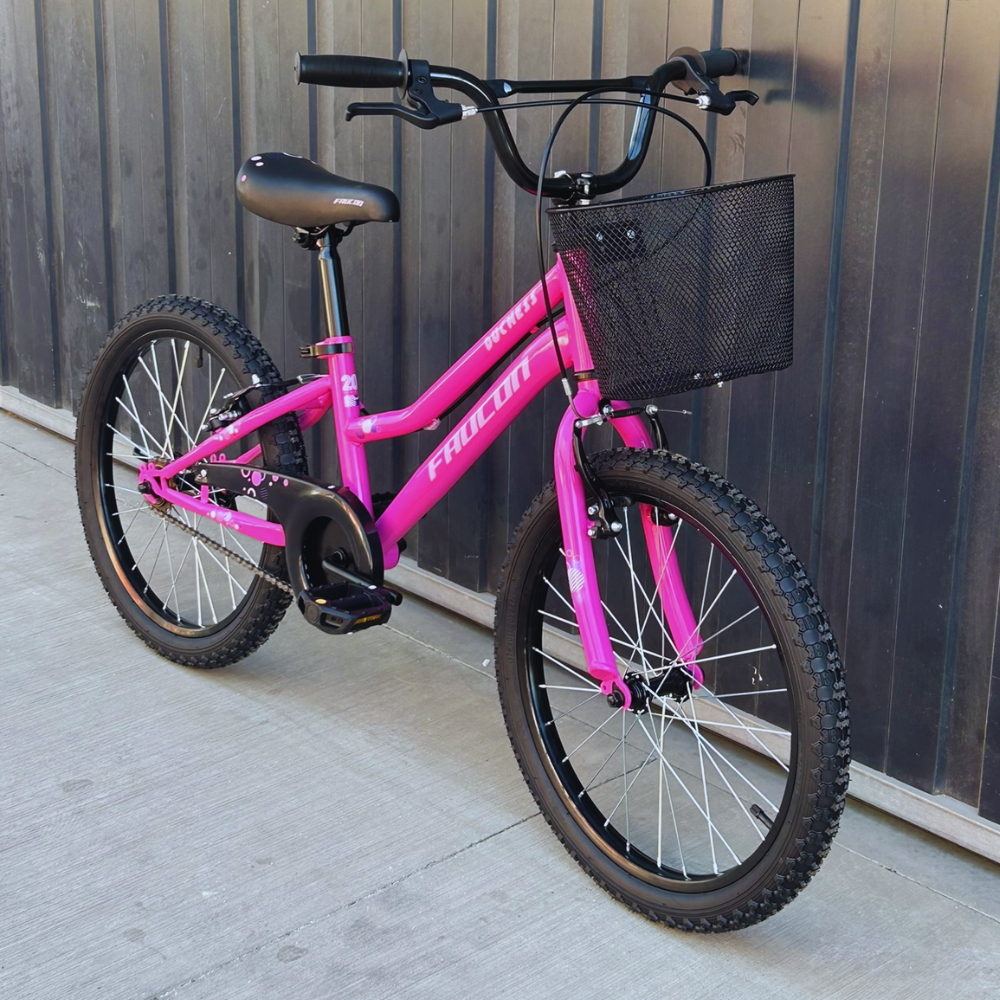 Bicicleta Infantil Niña Duchess Aro 20