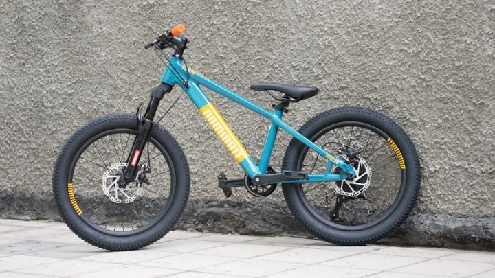 Bicicleta Infantil Dominate  Aro 20 Rojo