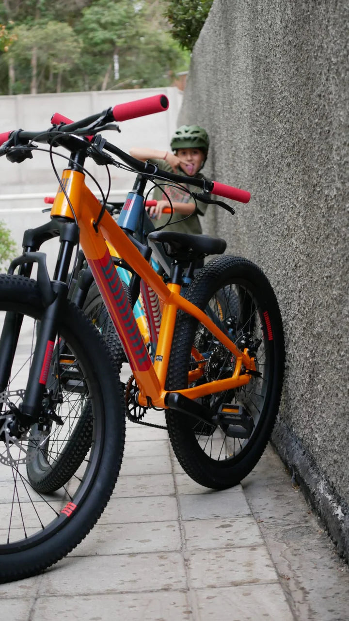 Bicicleta Infantil Dominate Aro 24